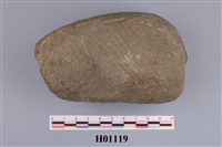 藏品(二枚貝)的圖片